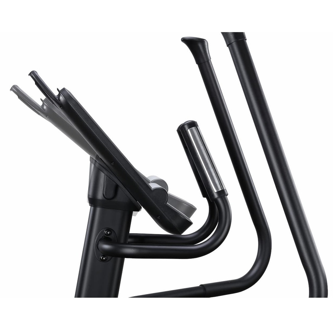 Dragon Max