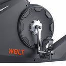 Wolt