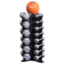 Vertical Dumbbell Rack