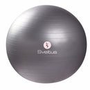 Gymball gris 65cm