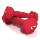 Paire Haltères Vinyle