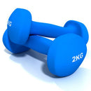 Paire Haltères Vinyle