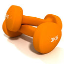 Paire Haltères Vinyle