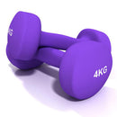 Paire Haltères Vinyle