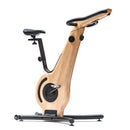 Vélo de Biking Bike Frêne